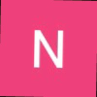 Nikkon Roy