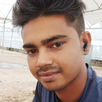 Punam Punam