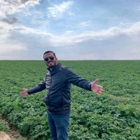 Hossam Abdo