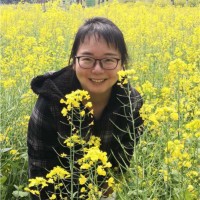 Heidi Wang