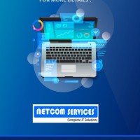 Netcom Sales