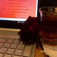 Songül Kılıçaslan