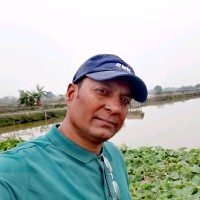 Mamun uddin