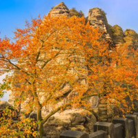 مرموز اشتراکیان