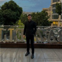 Parsa Ameri