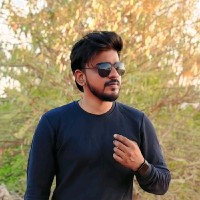 Vivek P