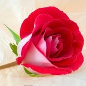 فرهاد سبزبان