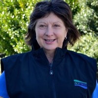 Sue Stowell