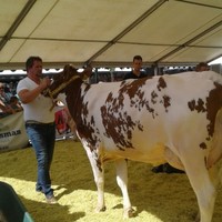 H. Jaspers