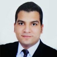 Mohamed Elmanadily