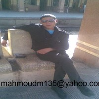 محمود الهواري