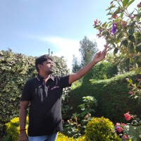 Sri sabari Garments SELVAN