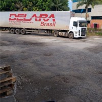 Delara Brasil