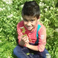 rony yosef