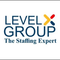 Level X Group. The Staffing Expert