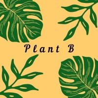 PLANT B