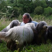 Sue Courtenay-Blake