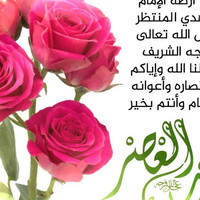 Musa Alhufofi