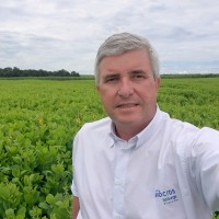 Marcelo Perrout R. de Castro