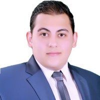 aly alaa eldin aboutaleb