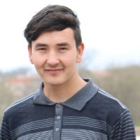 Basir Bulut
