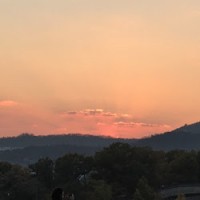 황정민