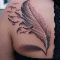 damla nefes gecem çelik