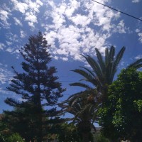 Asmae e