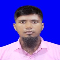 Md. Enamul Hoque