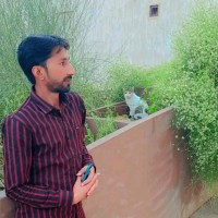 Waqar Ahmed