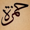حمزة حسين