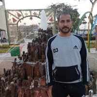 Mohamed Badr