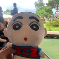 Thinh Dau hong