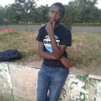 Stevo Karu