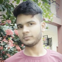 Ashish prakash singh