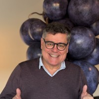 Manuel A. Romero Ligero