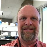 Gregory Stepp