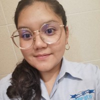 Diana Laura Vicente Ortiz