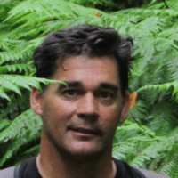 Pedro Novais
