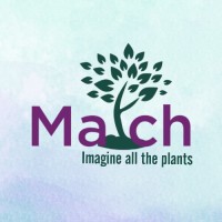 March System