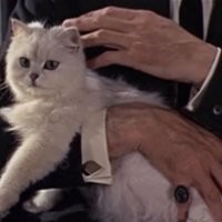 Ernst Stavro Blofeld