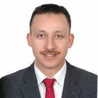 Walid Fawzi