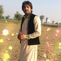 M Amir