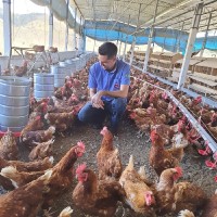 Mario Lucio Ribeiro de Mancilha