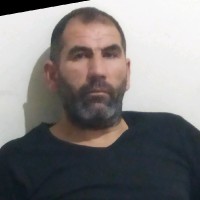 Halis Pala