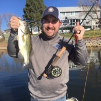 Ryan Bibeau