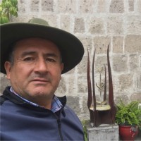 ADOLFO CÉSPEDES VALVERDE