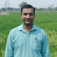 Dnyaneshwar C Kadam