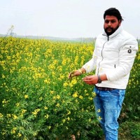 Aman Sharma