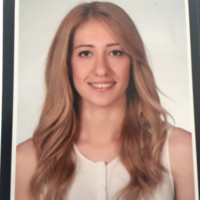 SERPİL HACIVELİOĞLU